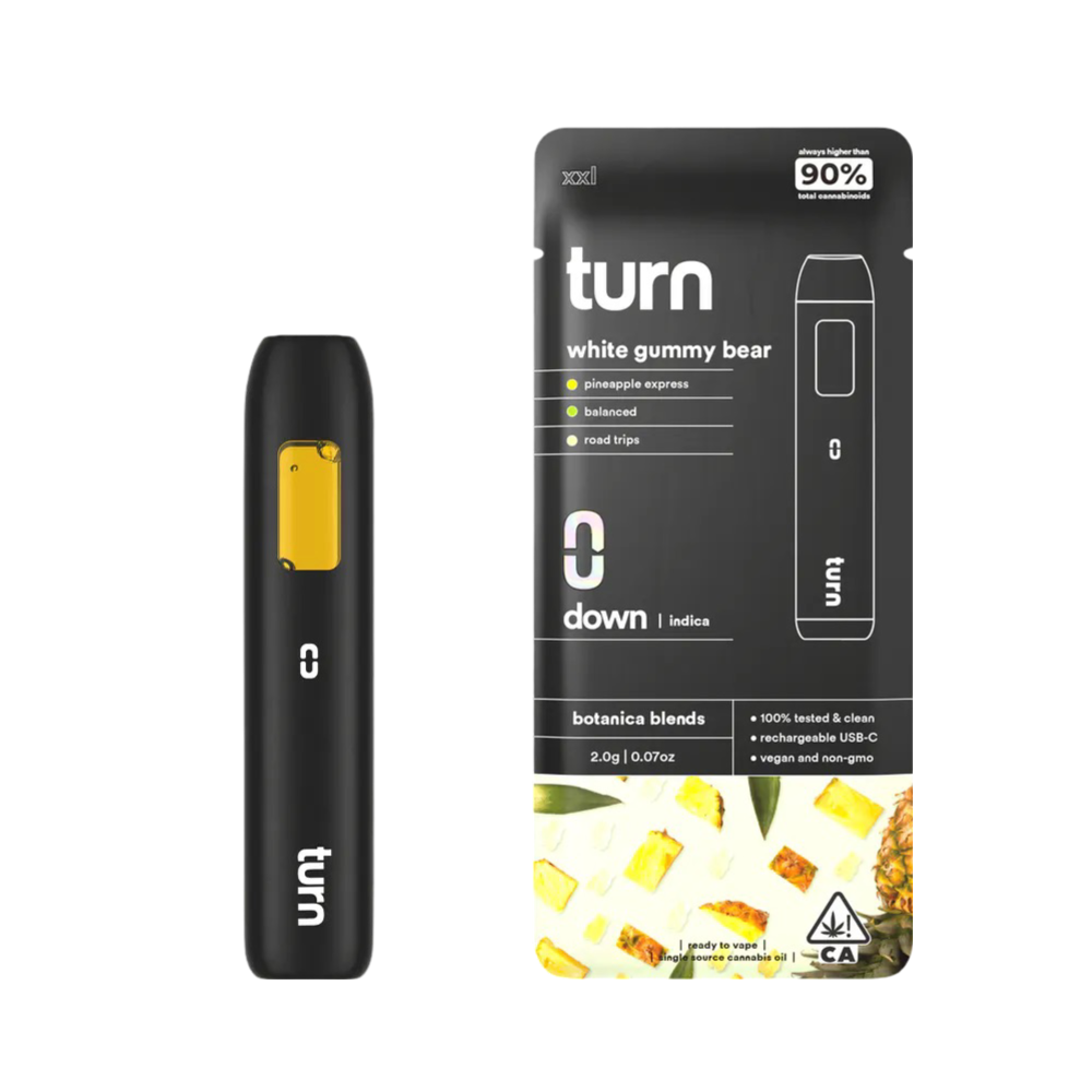Turn 2G Disposable