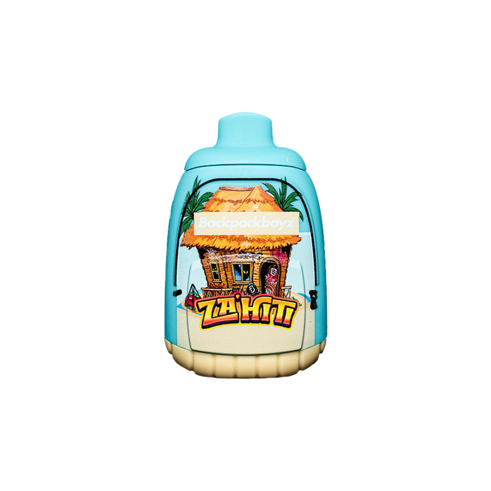 BackPackBoyz 1G