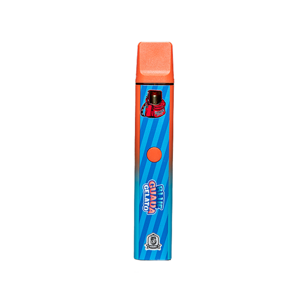 BackPackBoyz Disposable 1G