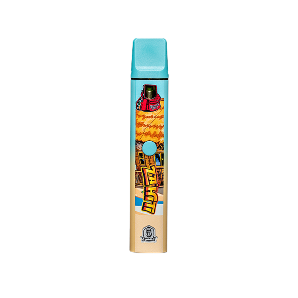 BackPackBoyz Disposable 1G