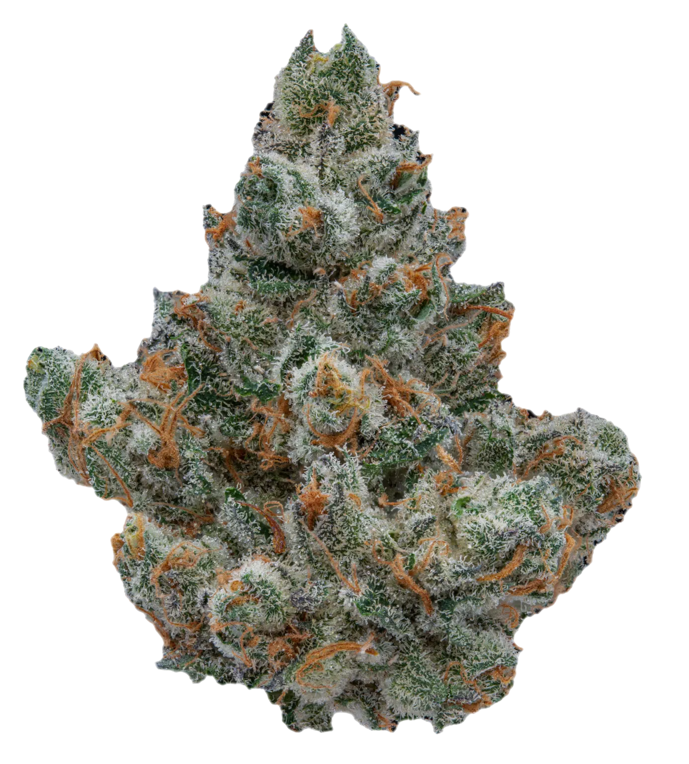 SpaceTrip - Via Lactea Indoor